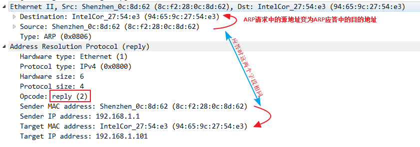 计算机网络之验证性实验(tracert+ARP)