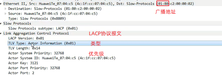 查看LACP协议报文