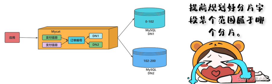 Mycat【Mycat分片规则（取模、分片枚举、范围约定）】(六)-全面详解（学习总结---从入门到深化）