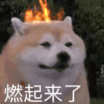 [ Failed to transfer the external chain picture , The origin station may have anti-theft chain mechanism , It is suggested to save the pictures and upload them directly (img-lyMxWZoP-1654664972726)(https://cdn.jsdelivr.net/gh/FengLuo97/imgurl/img202206081257357.gif)]