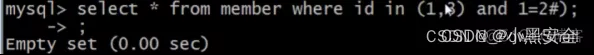 [ 漏洞挖掘基础篇四 ] 漏洞挖掘之 SQL 注入挖掘_网络_12