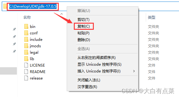 复制jdk-17.0.5文件夹绝对路径