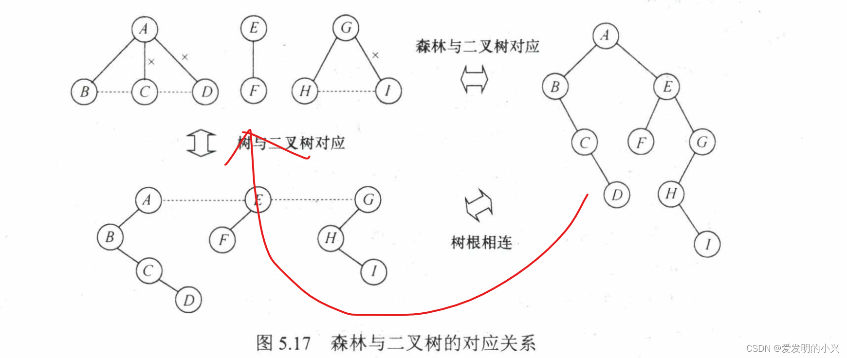 数据结构题型17-树、森林