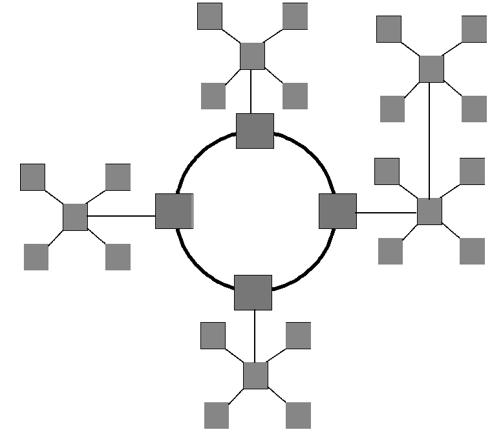 环形星型拓扑网络
