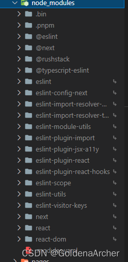 pnpm node_modules