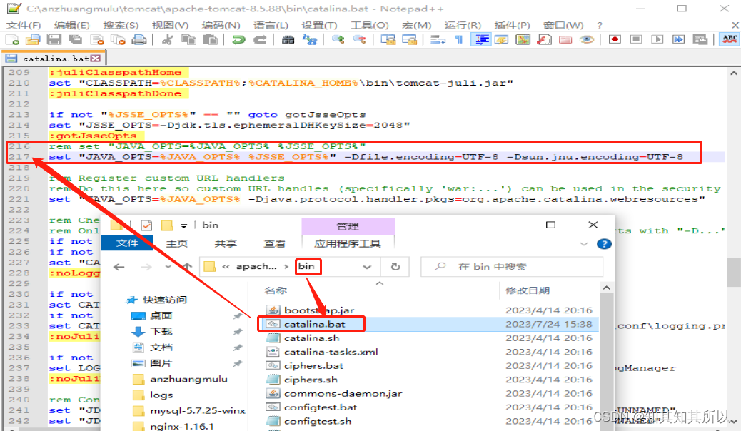 在这里插入图片描述