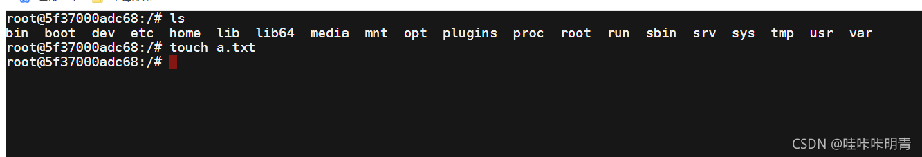 在这里插入图片描述