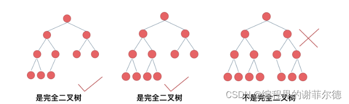 从一个初学者看树