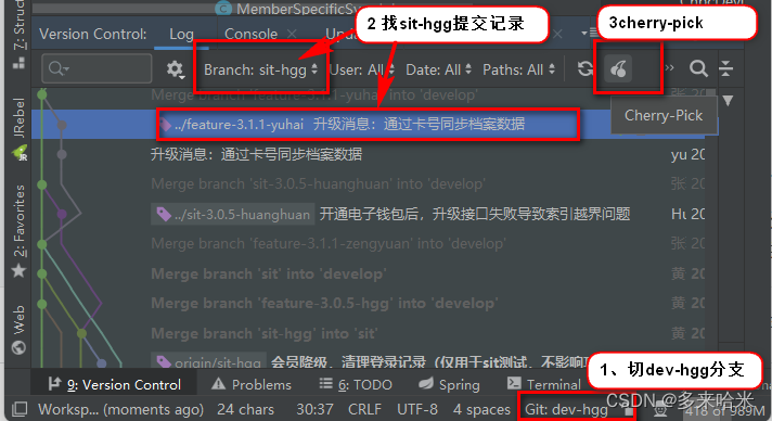idea中cherry pick怎么用