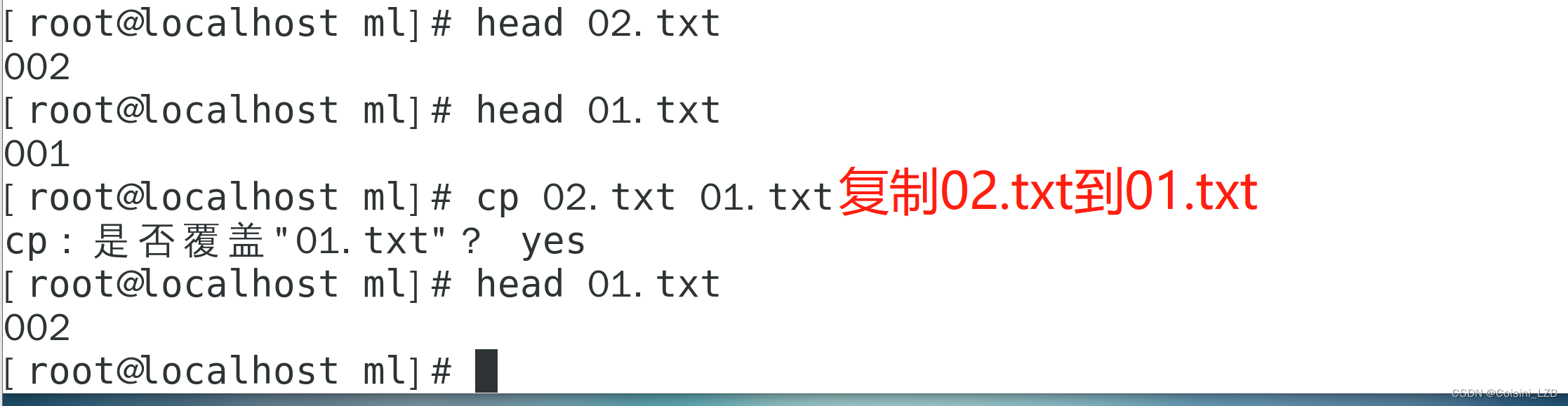 Linux目录结构与文件管理 （02）（四）