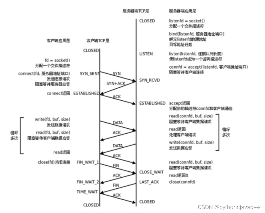 Linux网络编程套接字