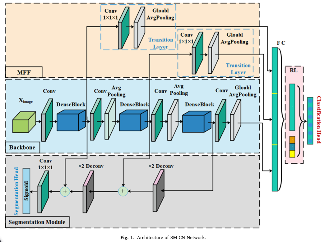 论文阅读：3D multiscale, multitask, and multilabel deep learning for