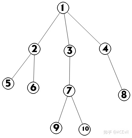 树的度是什么