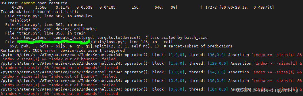 Darknet yolov4, Pytorch yolov5训练自己的数据集_assert mlc