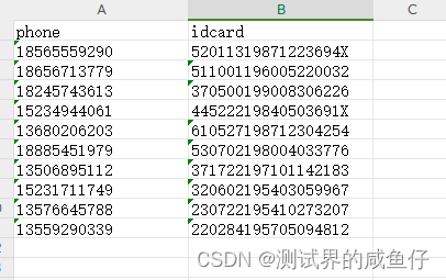 python造测试数据存到excel