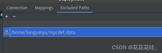 pycharm2022.2 远程连接服务器调试代码