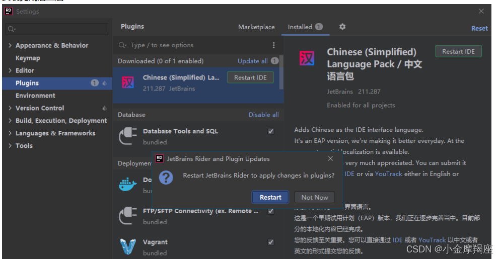 Intellij Rider JetBrains Rider 2021.3.1中文汉化步骤-CSDN博客