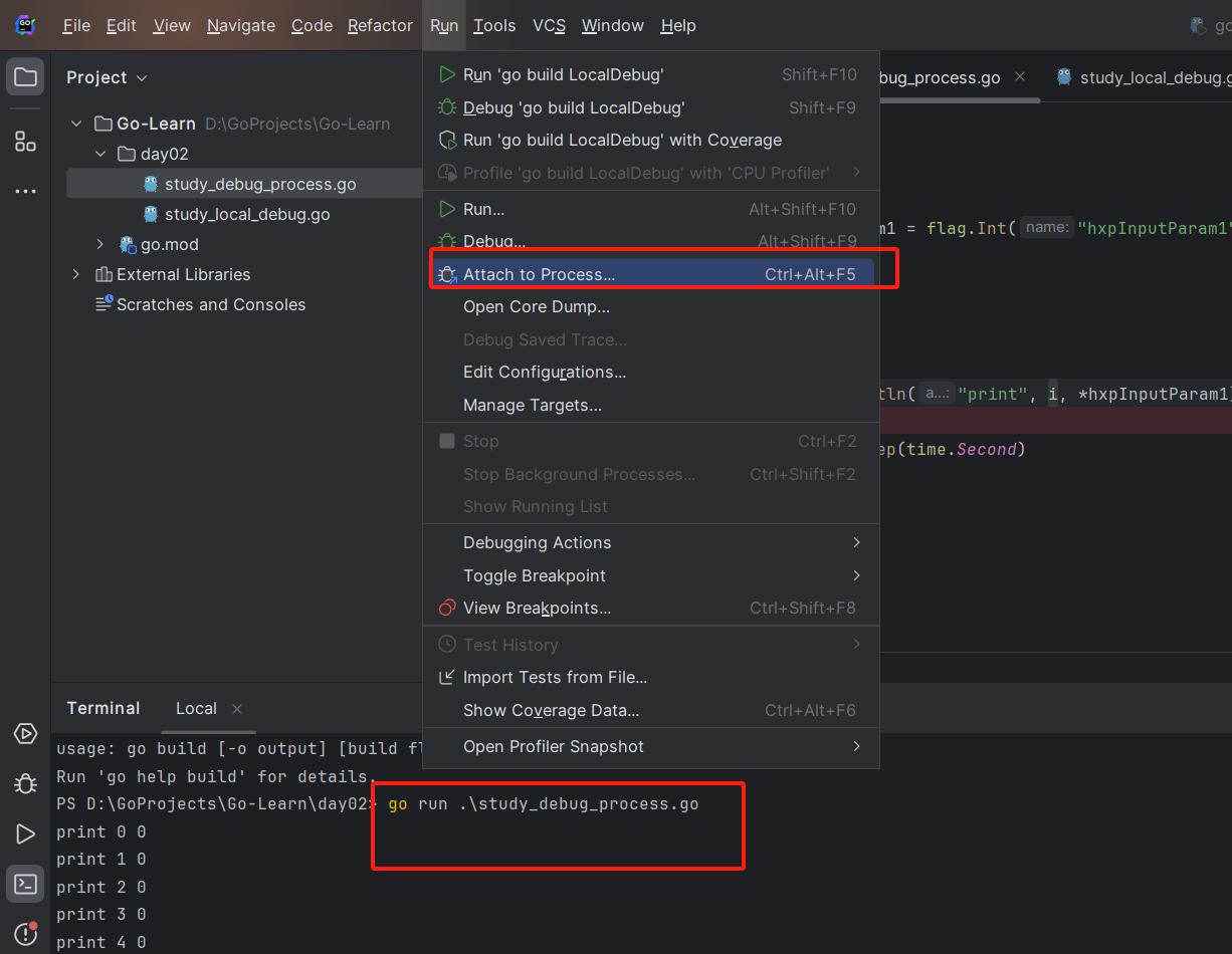 GoLand-Run-Attach to Process