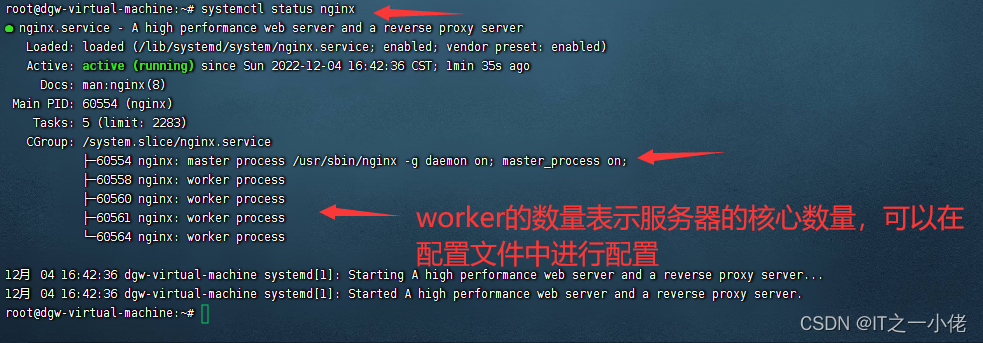 Nginx安装搭建和环境准备教程（Ubantu）