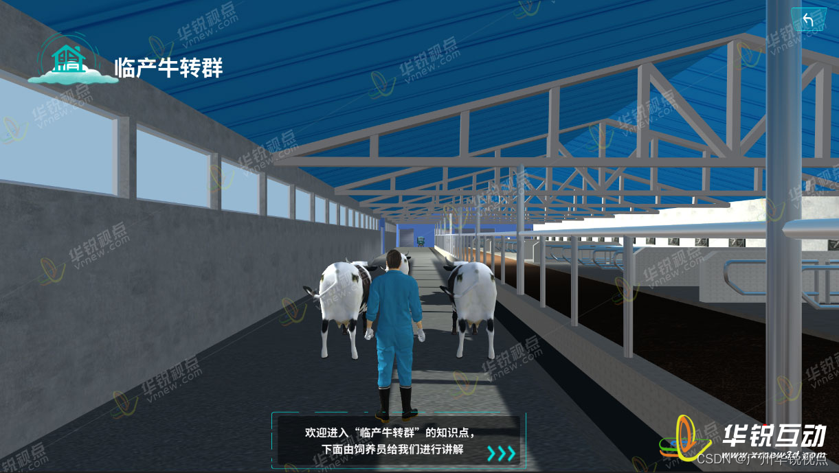 广州华锐互动：奶牛养殖VR在线学习课堂提供更加真实、直观的教学体验
