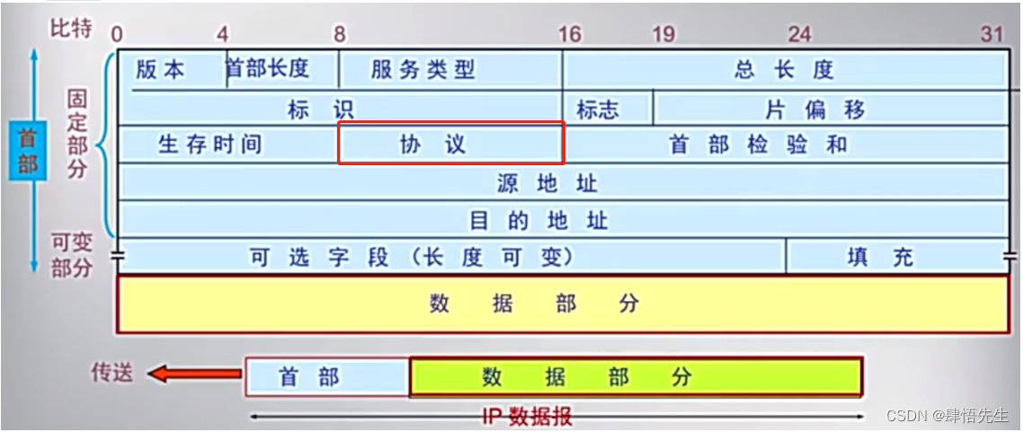 协议字段