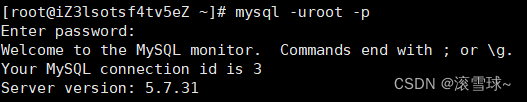 CentOS 安装MySQL 详细教程