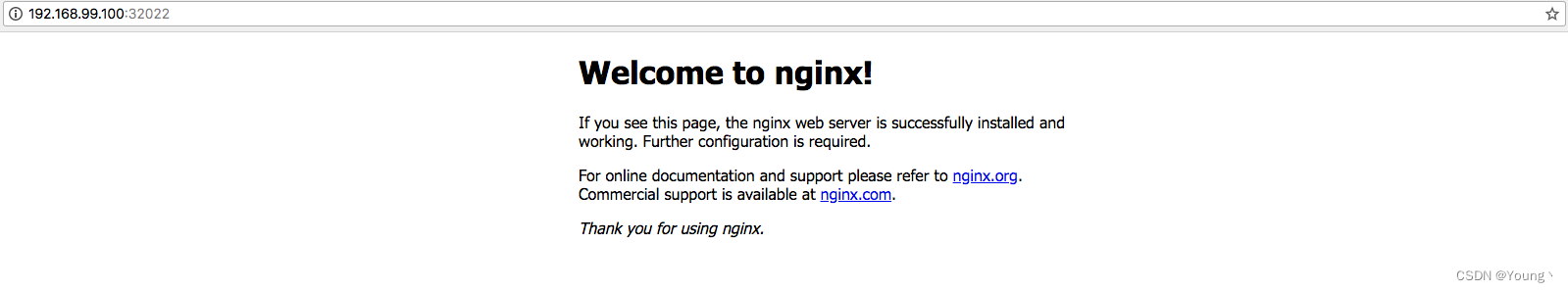 Nginx主页