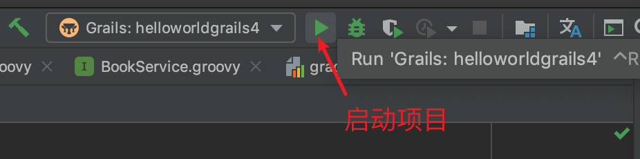启动项目