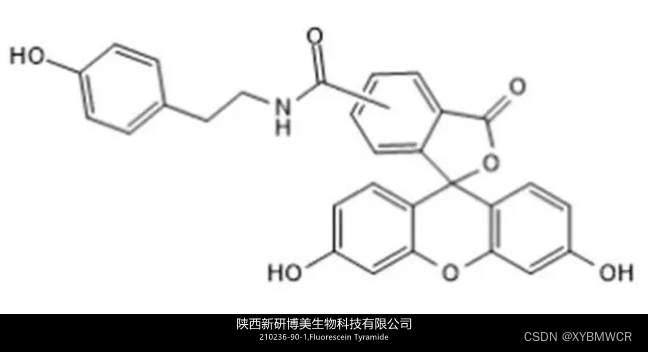 CAS:210236-90-1,Fluorescein Tyramide,荧光素酪胺绿色荧光试剂