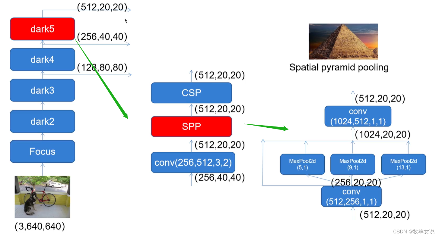 YOLOX backbone——CSPDarknet的实现