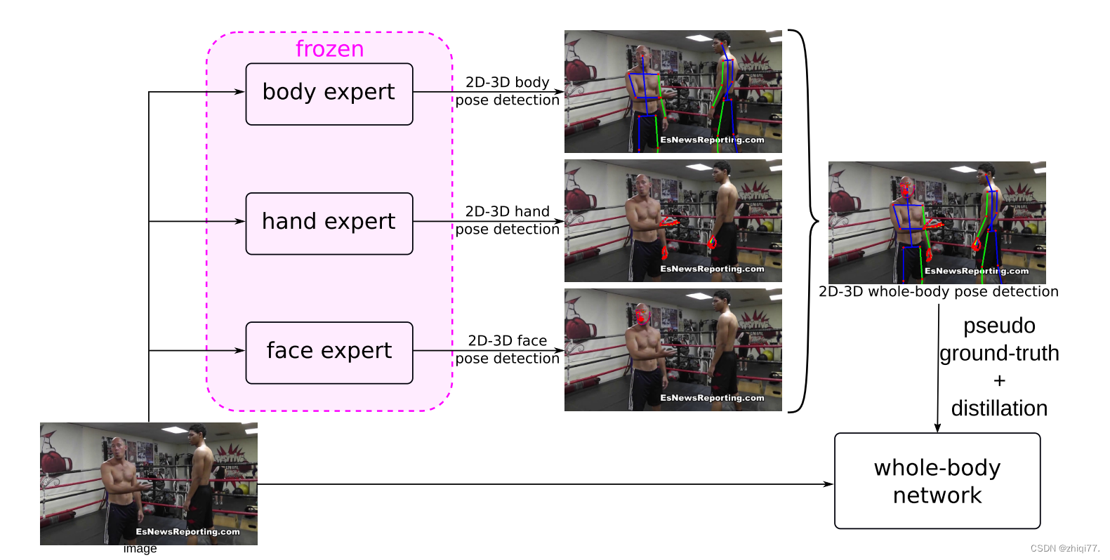 DOPE: Distillation Of Part Experts For Whole-body 3D Pose Estimation In ...