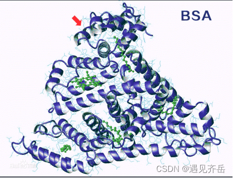 葡萄糖-聚乙二醇-牛血清白蛋白,BSA-PEG-Glucose,牛血清白蛋白-PEG-葡萄糖