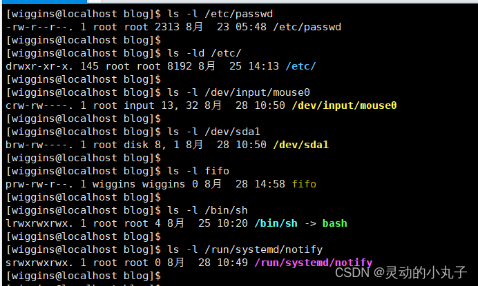 Linux文件类型展示