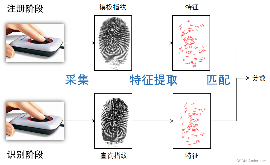 指纹识别系统流程