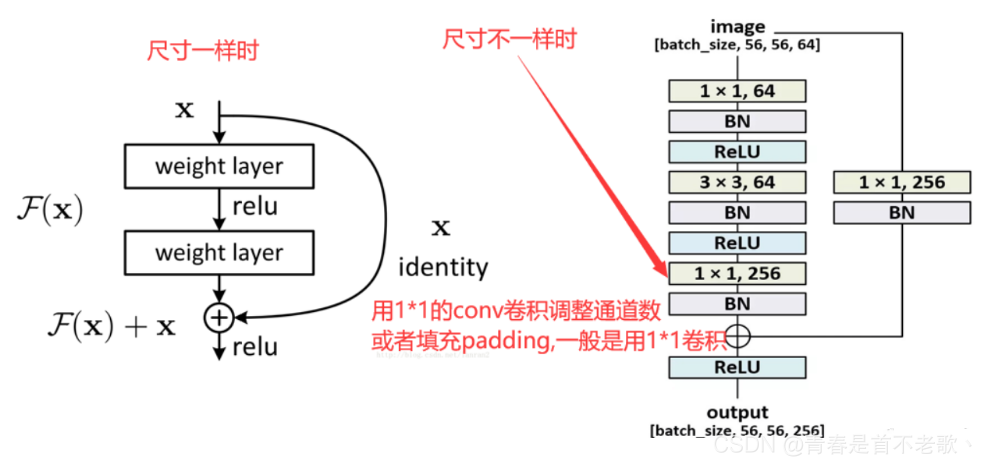 Resnext50 Resnet-50网络结构详解_resnet50网络结构详解-CSDN博客