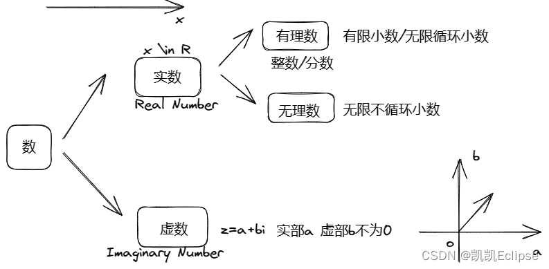 数的分类