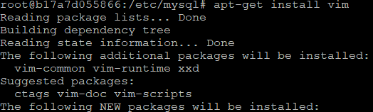 apt-get install vim