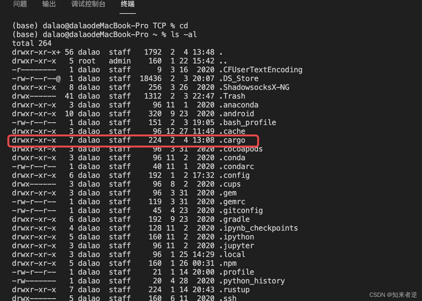 Rust笔记——解决 Blocking waiting for file lock on build directoryCSDN博客