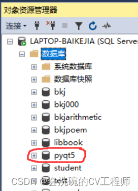 PyQt5数据库开发1 4.3 QSqlTableModel 之 数据库表的建立与配置ODBC数据源