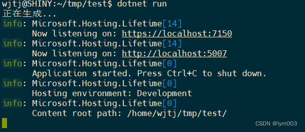 ASP.NET Core设置URLs的几种方法，完美解决.NET 6项目局域网IP地址远程无法访问的问题-小白菜博客