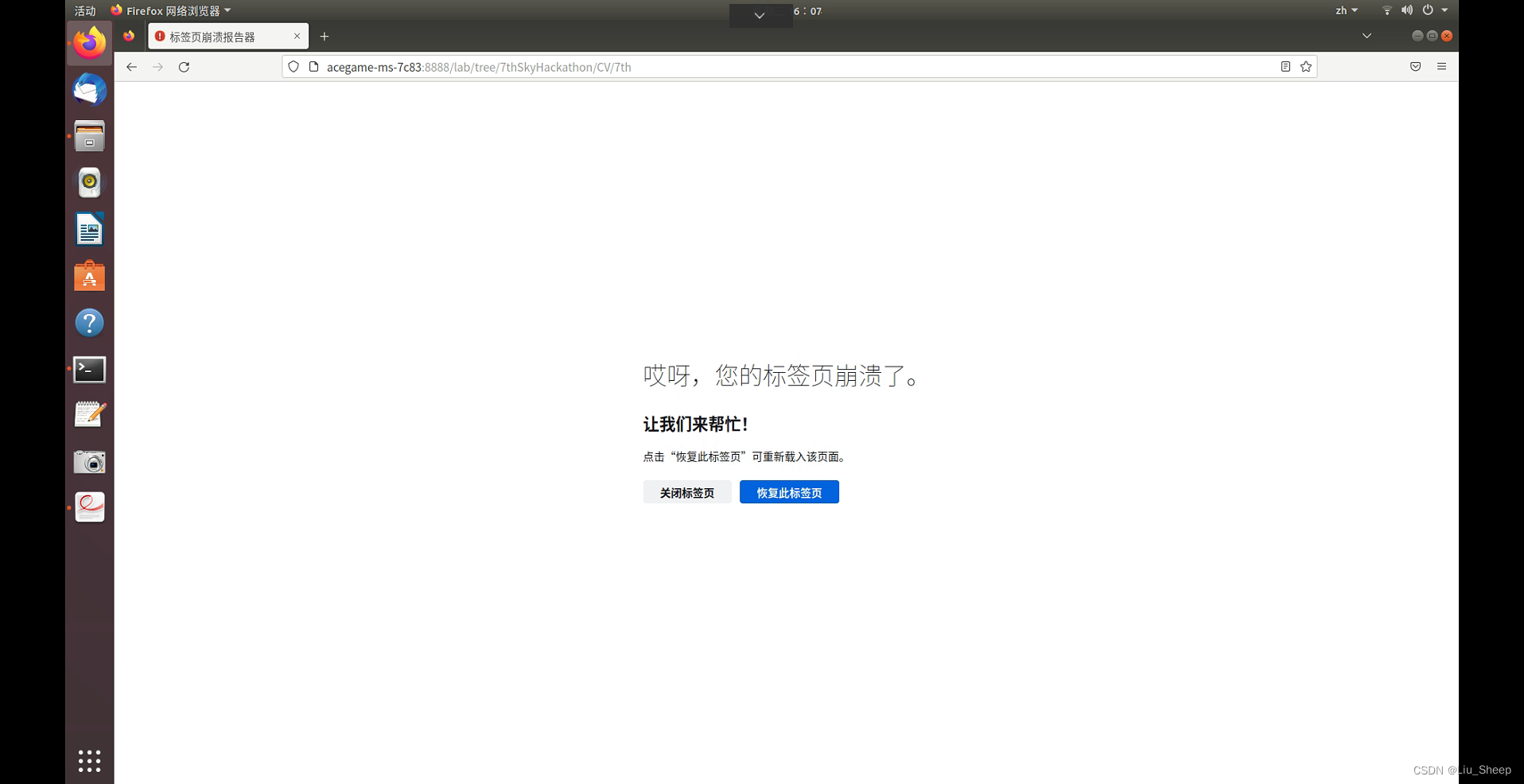  NVIDIA Sky Hackathon TAO CV tao Liu Sheep CSDN 