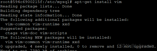 apt-get install vim