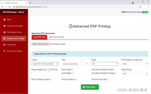 Neodynamic JSPrintManager for Blazor