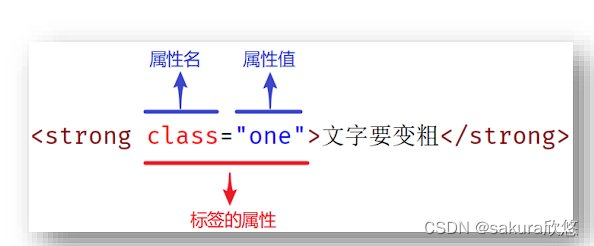 属性选择器