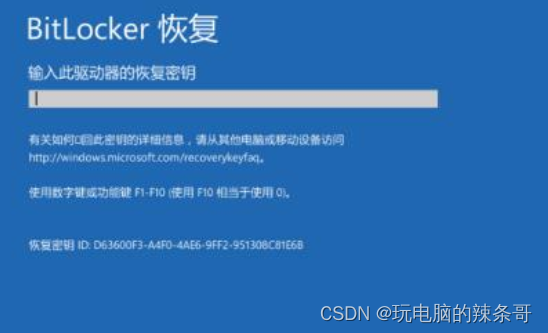 bitlocker 加密锁定的固态硬盘，更换到别的电脑上，怎么把原密钥写进新电脑TPM芯片内，开启无需手动填密钥