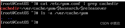 cat /etc/yum.conf | grep cachedir