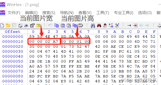 在这里插入图片描述