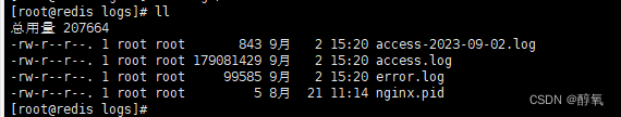 【nginx】access.log按照时间分割