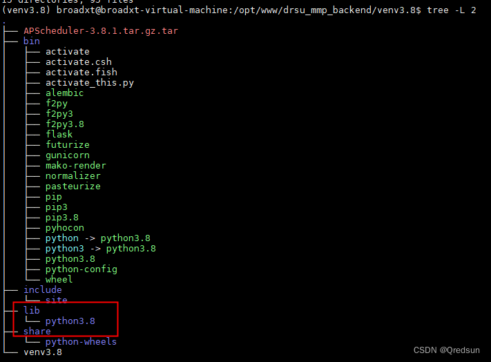 Python virtual environment migration and code implementation ...