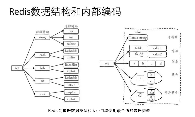 API 的理解和使用-全局命令与编码